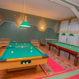 Бильярд в санатории Воронеж в городе Ессентуки - фотография