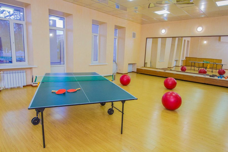 Настольный теннис в санатории Воронеж в городе Ессентуки - фотография