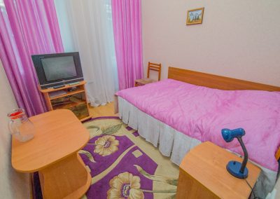 Одноместный номер в санатории Воронеж в городе Ессентуки - фотография